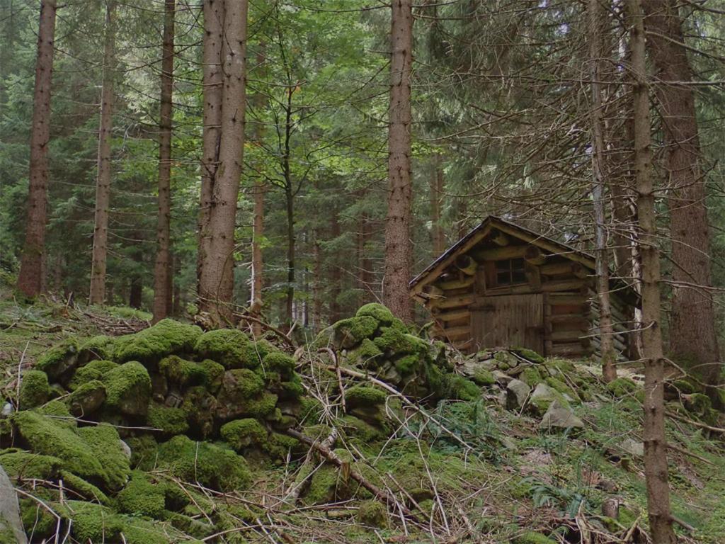 Arlberghome Komfort-apartments & Privat-sauna Apartment *
