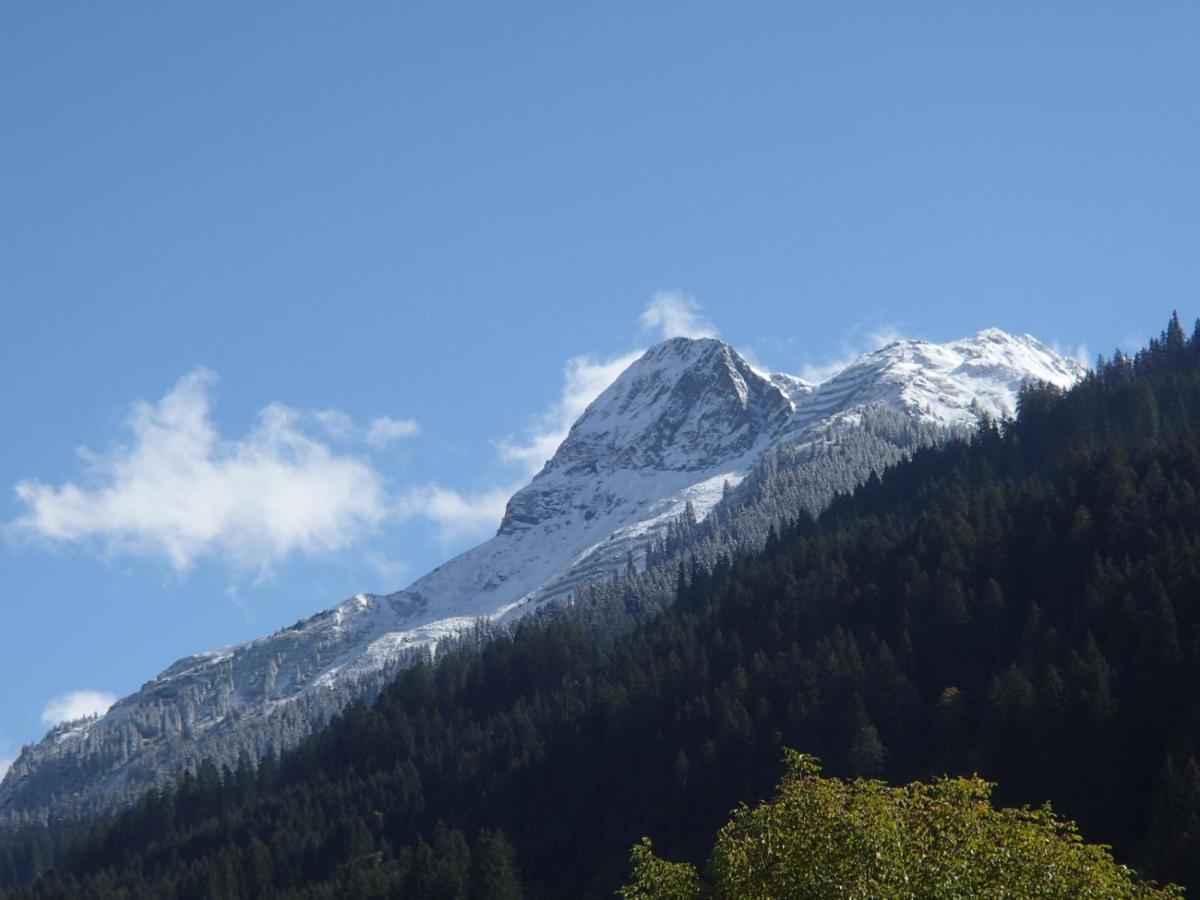 Arlberghome Komfort-apartments & Privat-sauna Wald am Arlberg